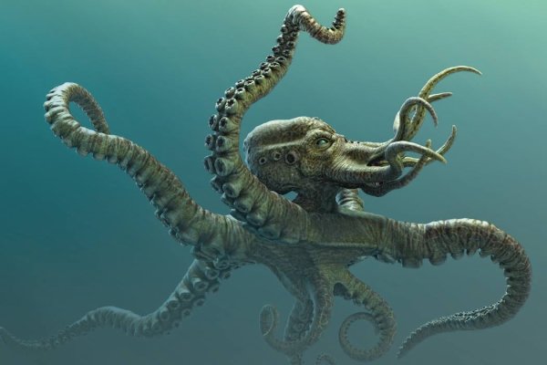 Kraken https