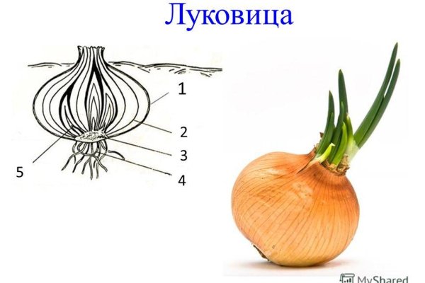 Kraken магазин ссылка