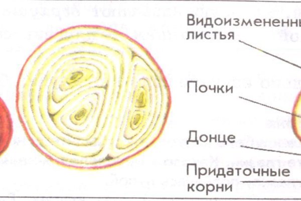 Kra25.at